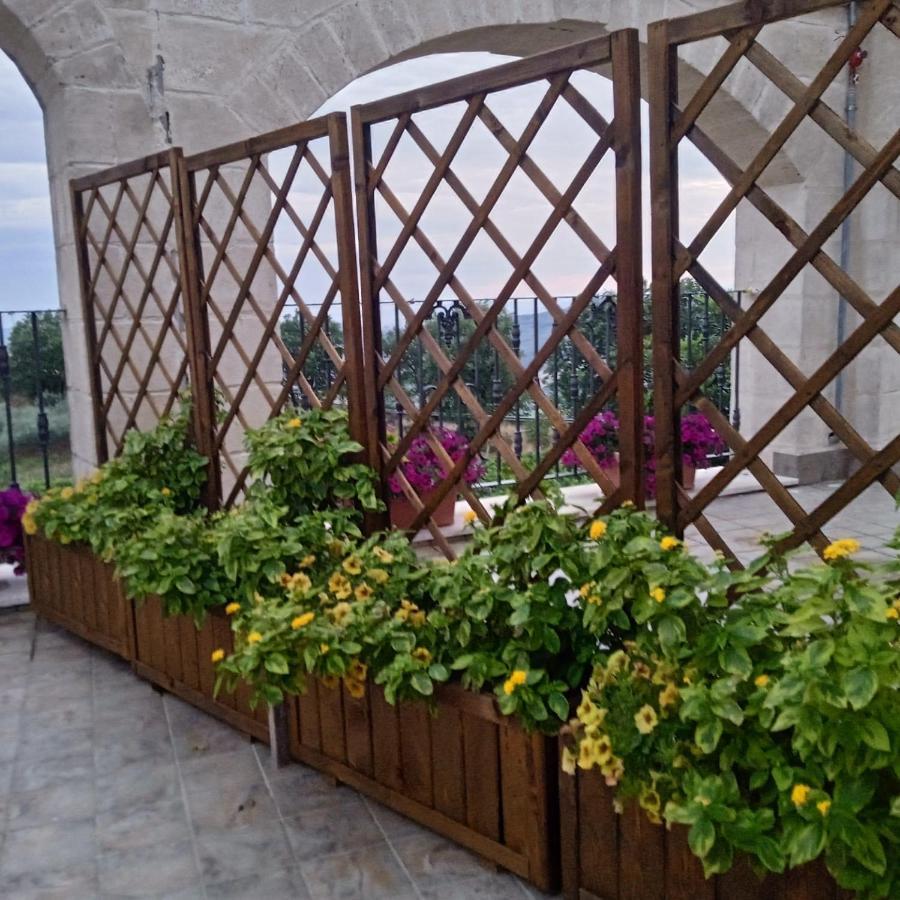 Miglionico Agriturismo Al Passaggio Di Pirroヴィラ エクステリア 写真
